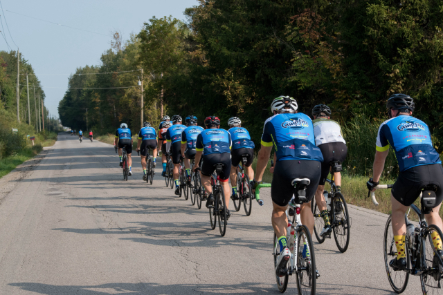 Cyclists on a country road