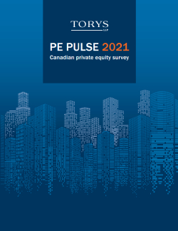 PE Pulse 2021 report cover