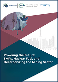 Powering the Future PDF Cover